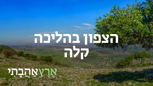 הצפון בהליכה קלה