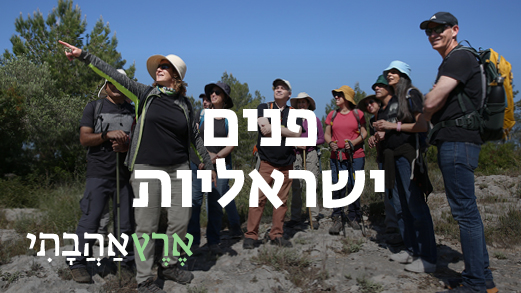 פנים ישראליות