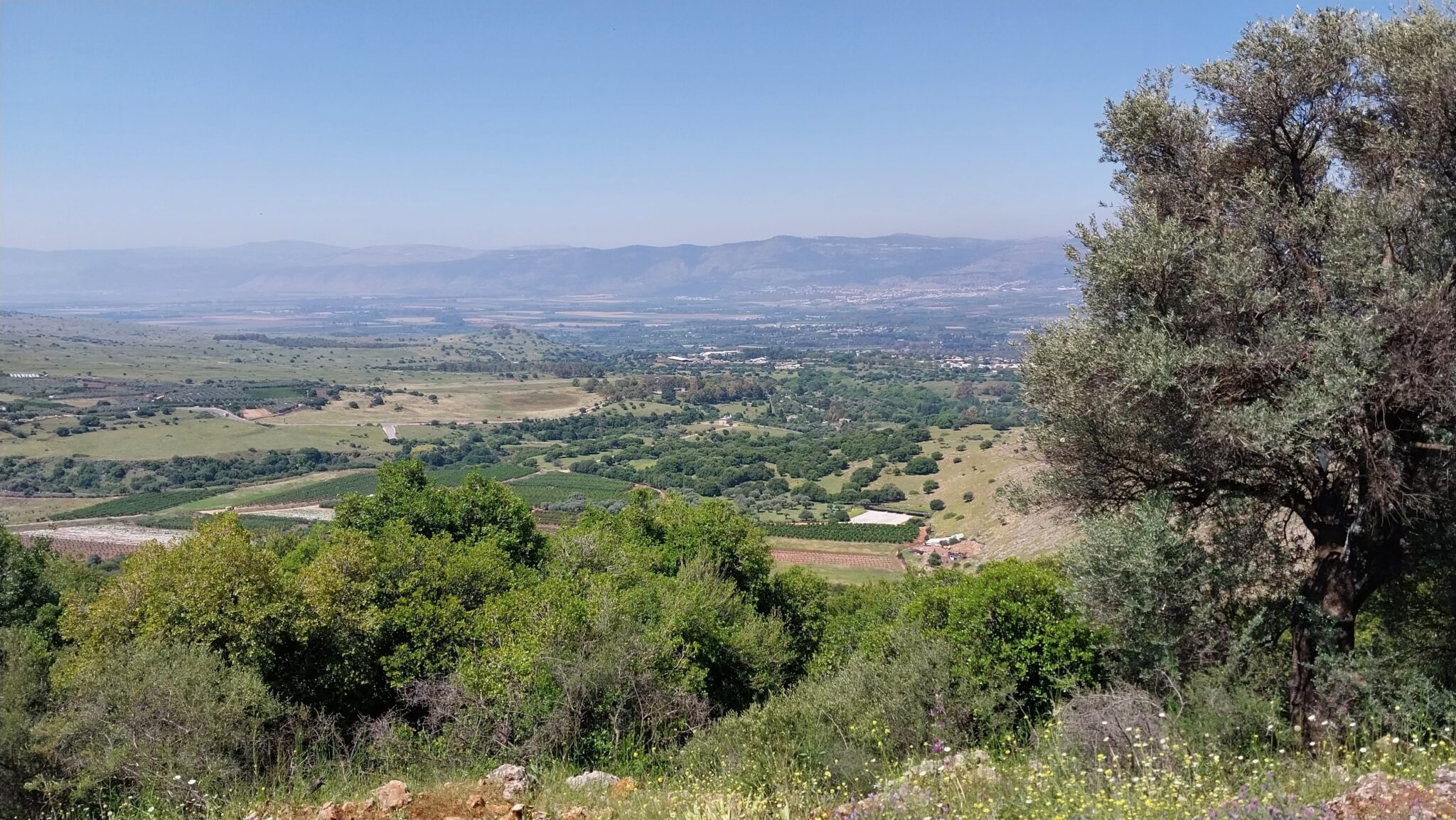 מבט אל גבעת האם מקלעת נמרוד