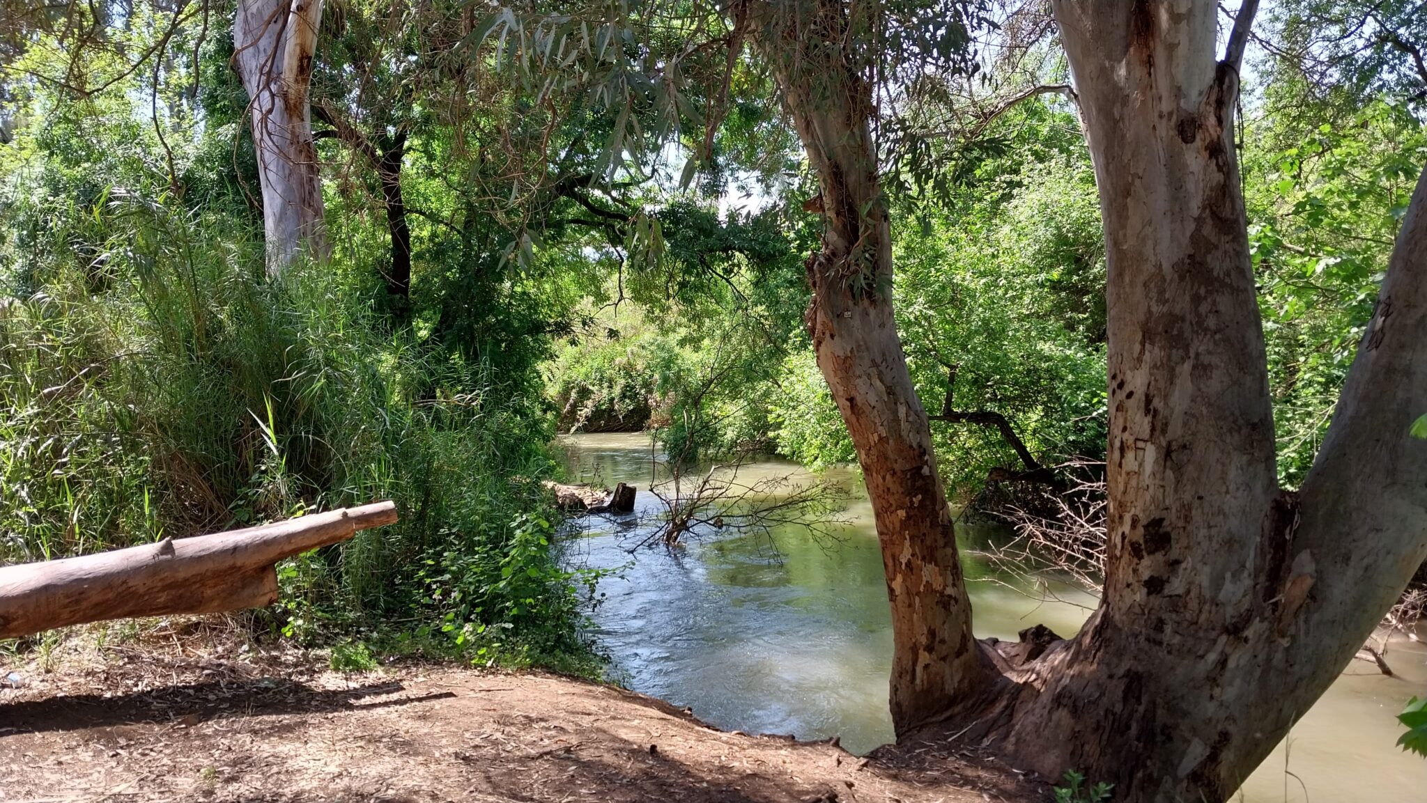 מורד הבניאס