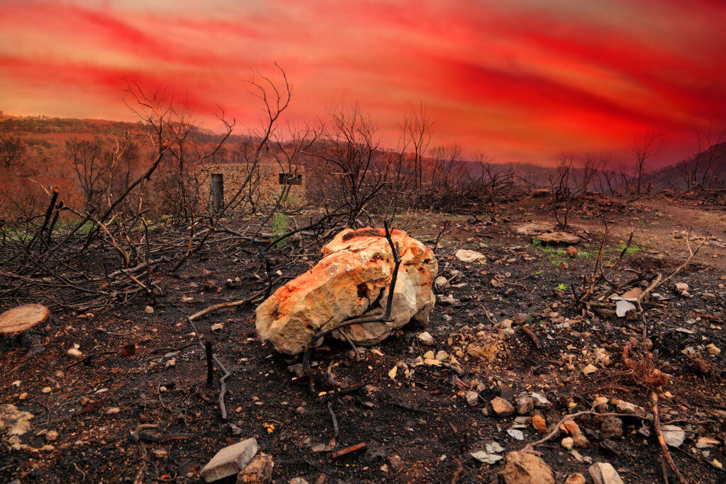 הכרמל אחרי שריפה עם שקיעה אדומה ברקע