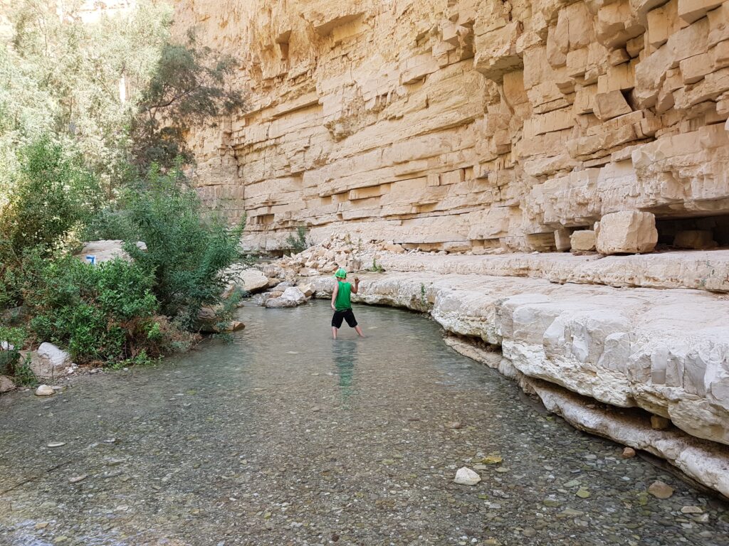 מים ומטייל בנחל ערוגות 