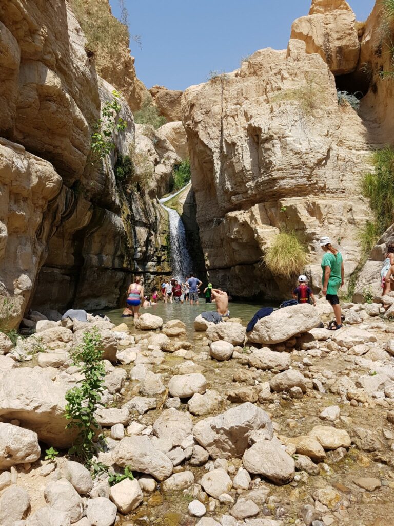מטיילים בנחל ערוגות 