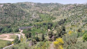 מטעים נחל גובתה במסלול שביל ישראל המקטע החדש בחרמון