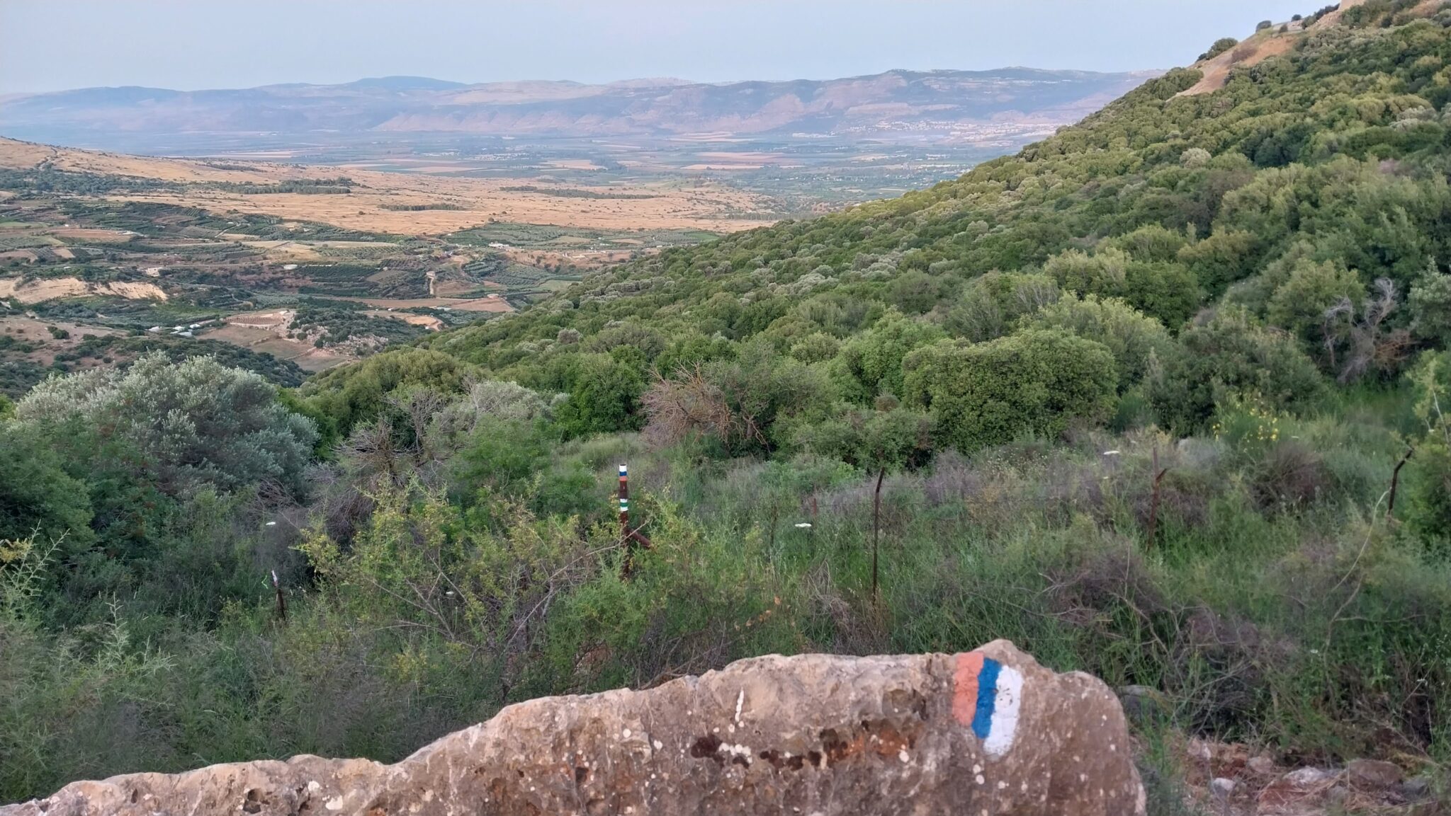 אצבע הגליל סימון