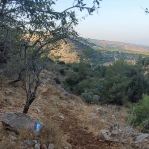 נוף בירידה מנווה אטי״ב על שביל ישראל
