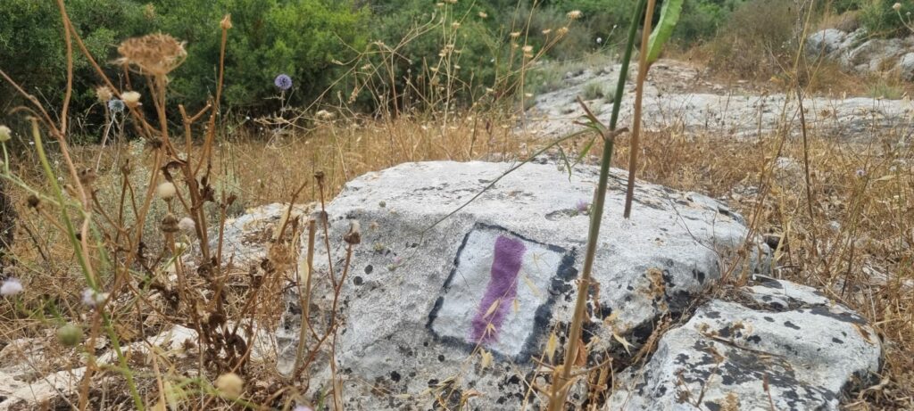 שביל מגידו, סימון שבילים, קוצים, דרדר 