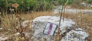 שביל מגידו, סימון שבילים, קוצים, דרדר
