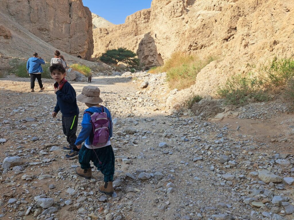 מטיילים בנחל זוהר במדבר יהודה 