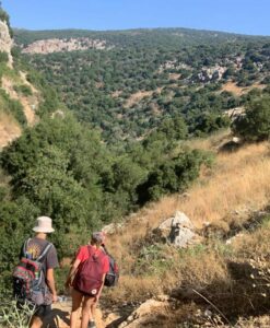 מטיילים בנחל חזורי ברמת הגולן