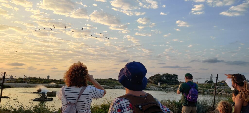 מטיילים משקיפים על ציפורים בבריכות הדגים במעגן מיכאל 