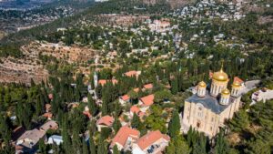 עין כרם. צילום: דוידי ורדי