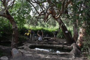 מטיילים בעין נילי בשביל מגידו