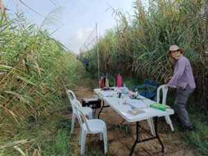 עמדת טיבוע עם שולחן, כיסאות ורשתות ערפל בליווי מדריכה במעגן מיכאל
