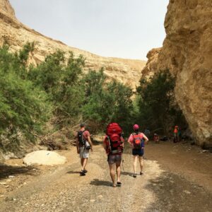 מטיילים בעין בוקק