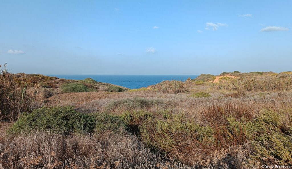 נוף מגן לאומי חוף השרון 