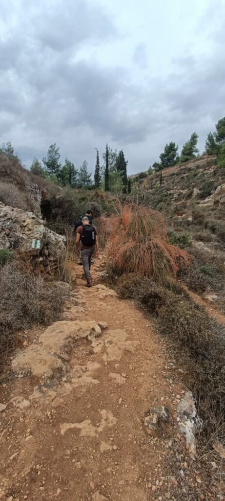 מטיילים בנחל חלילים 