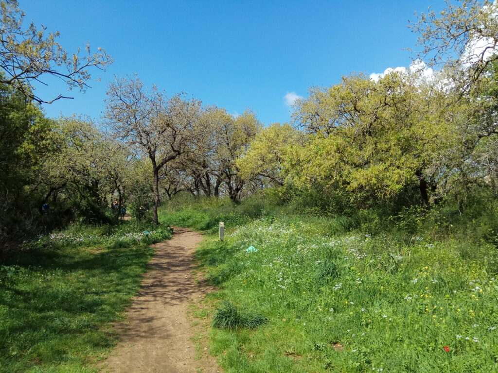 שמורת אלוני יצחק 