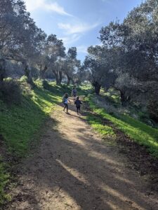 שביל הפסגה בהר תבור