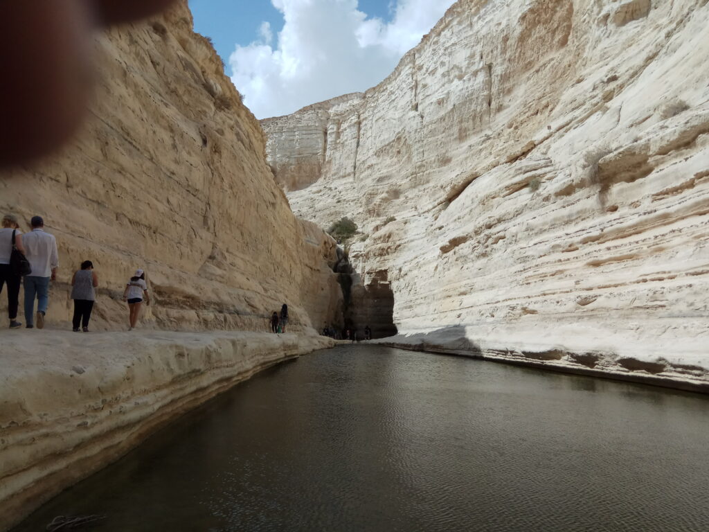 הבריכה בעין עבדת 