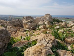 צב בתצפית ברמת הנדיב