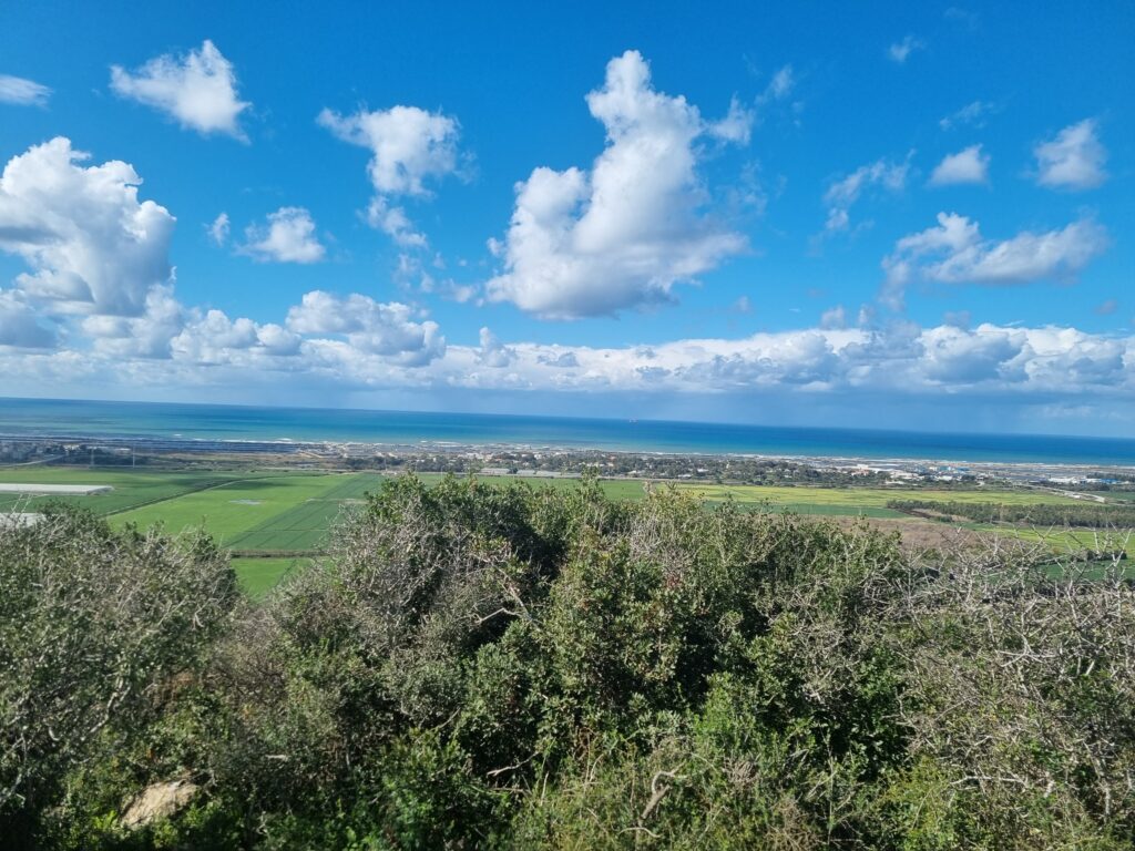 תצפית רמת הנדיב 