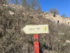 שלט של תל צובה