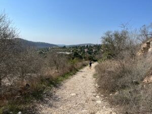 ילד מטייל בשביל בתל צובה