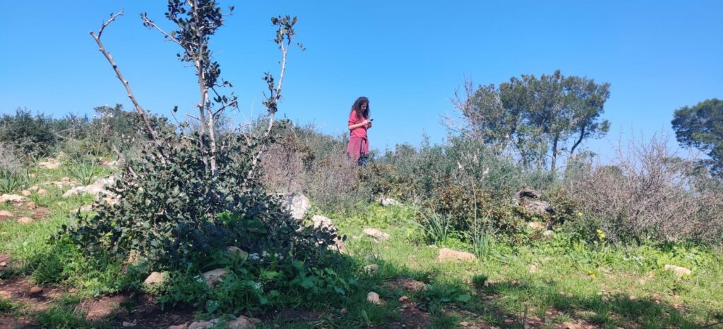 יער עופר 