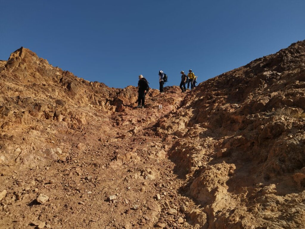 מטיילים בכמתש רמון 