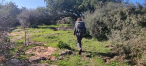 יער עופר מטיילים