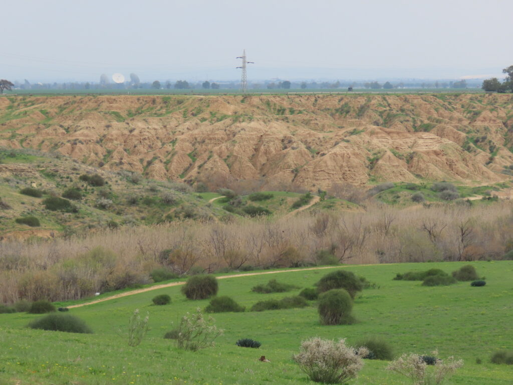 בתרונות לס בגן לאומי הבשור בעוטף עזה 