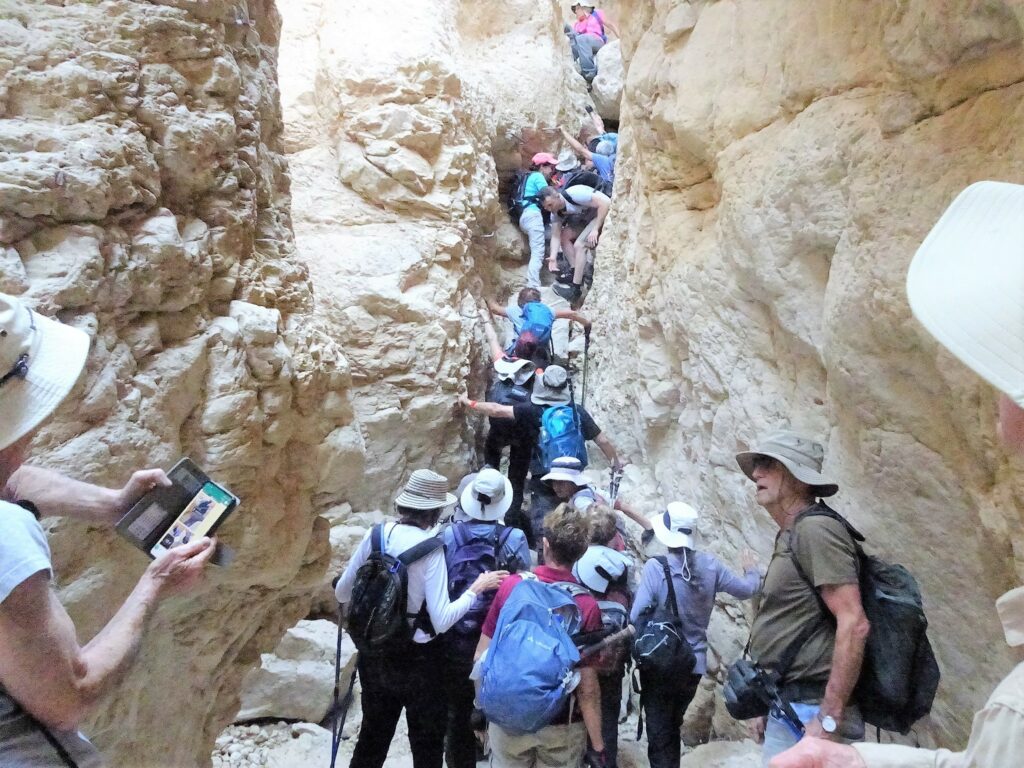 מטיילים מטפסים בנחל משמר 