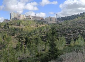 טרסות למרגלות בית חולים הדסה עין כרם