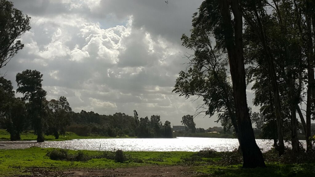 בריכת חורף ביער חדרה 