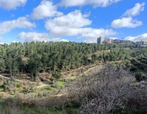 מורדות הדסה ועין חנדק