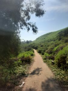 נחל חרוד