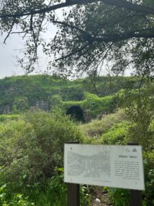 נחל חרוד הגשר הקטוע