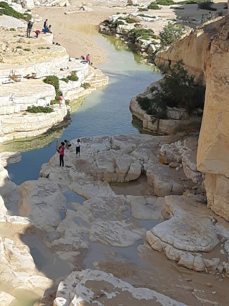 נחל צין 