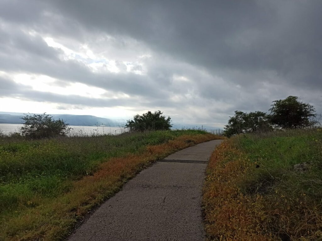 שביל סובב כנרת מפרץ אמנון 