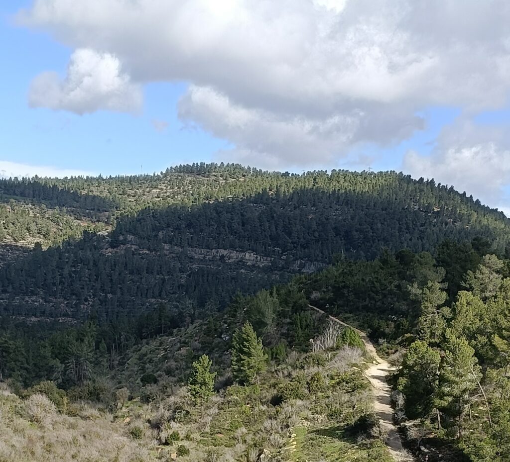 תצפית לתל צובה ועין חנדק