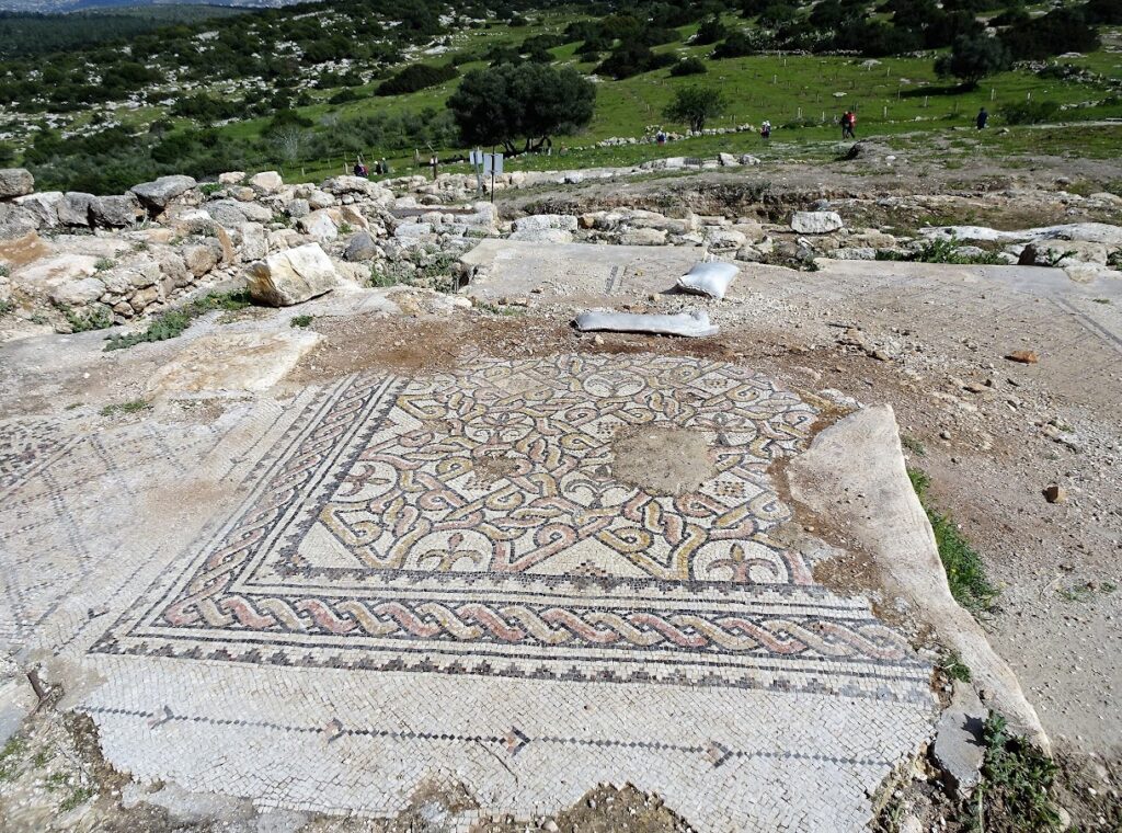 חורבת בורגין פסיפס 