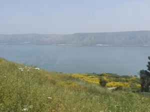 הכנרת