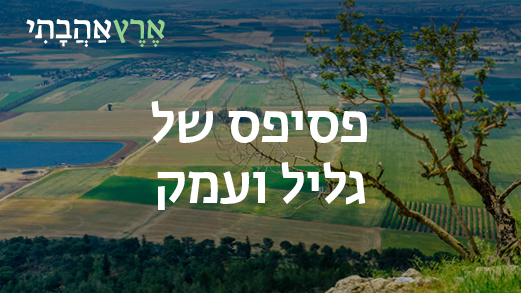 פסיפס של גליל ועמק