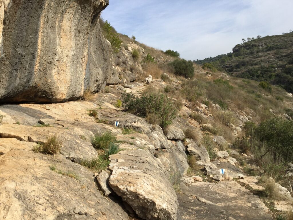 נחל אורן 48, מוקד טבע 