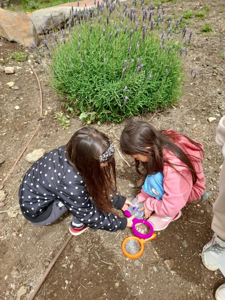 בנות בפעילות בבית ספר שדה גולן 