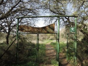 שמורת אלוני יצחק