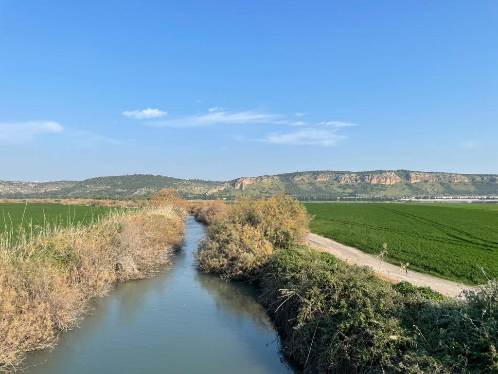 נחל זורם ונקי ליד הבית: מצטרפים לקהילות הנחלים | החברה להגנת הטבע