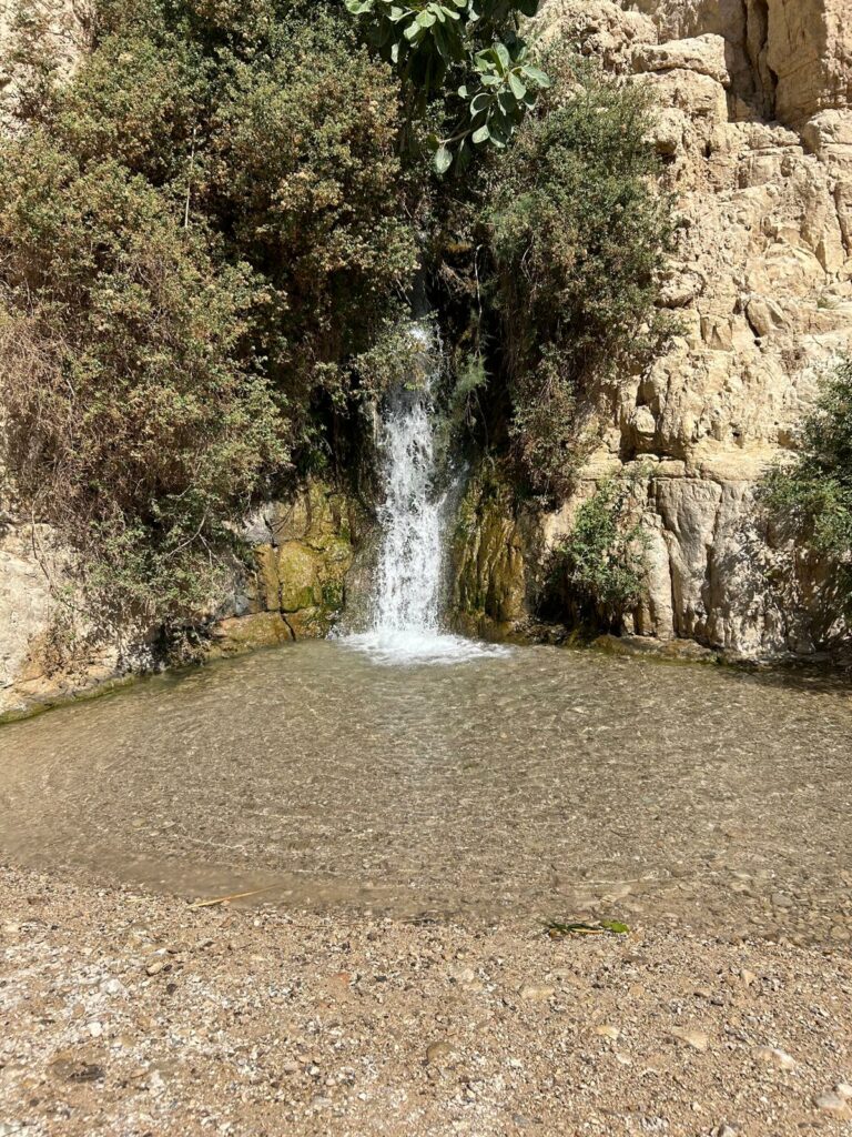 מפלון בנחל דוד 