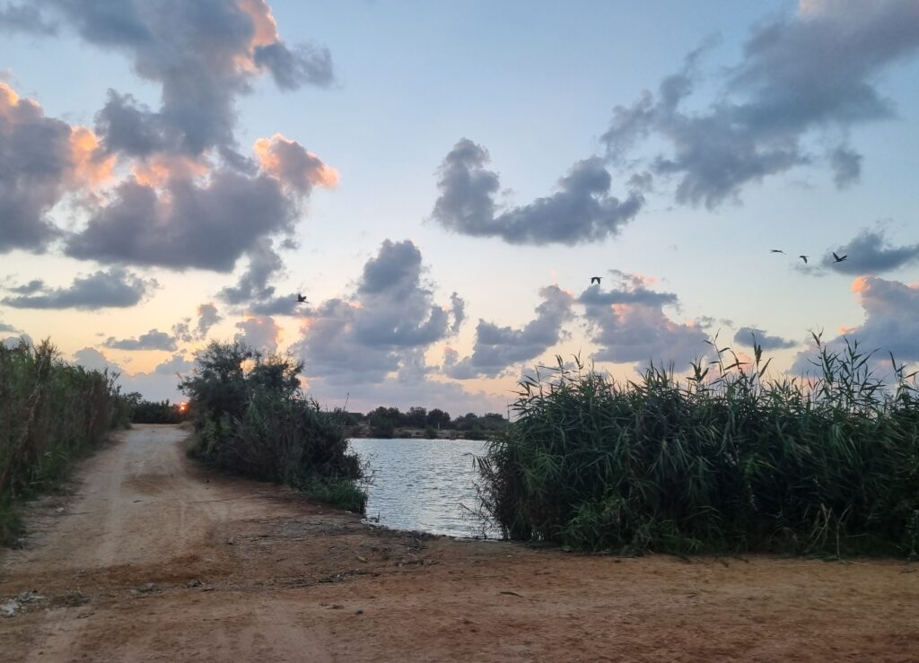 שקיעה בפארק הצפרות במעגן מיכאל 
